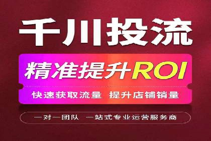 提升转化率：SEM竞价专员的案例研究